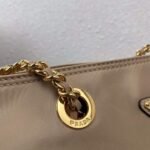 Replica Prada Nylon Vintage Chain Stray Bag 1BD625 Apricot - Image 5