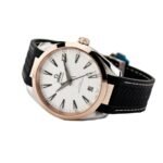 Omega Seamaster Silver Dial Replica - Image 4