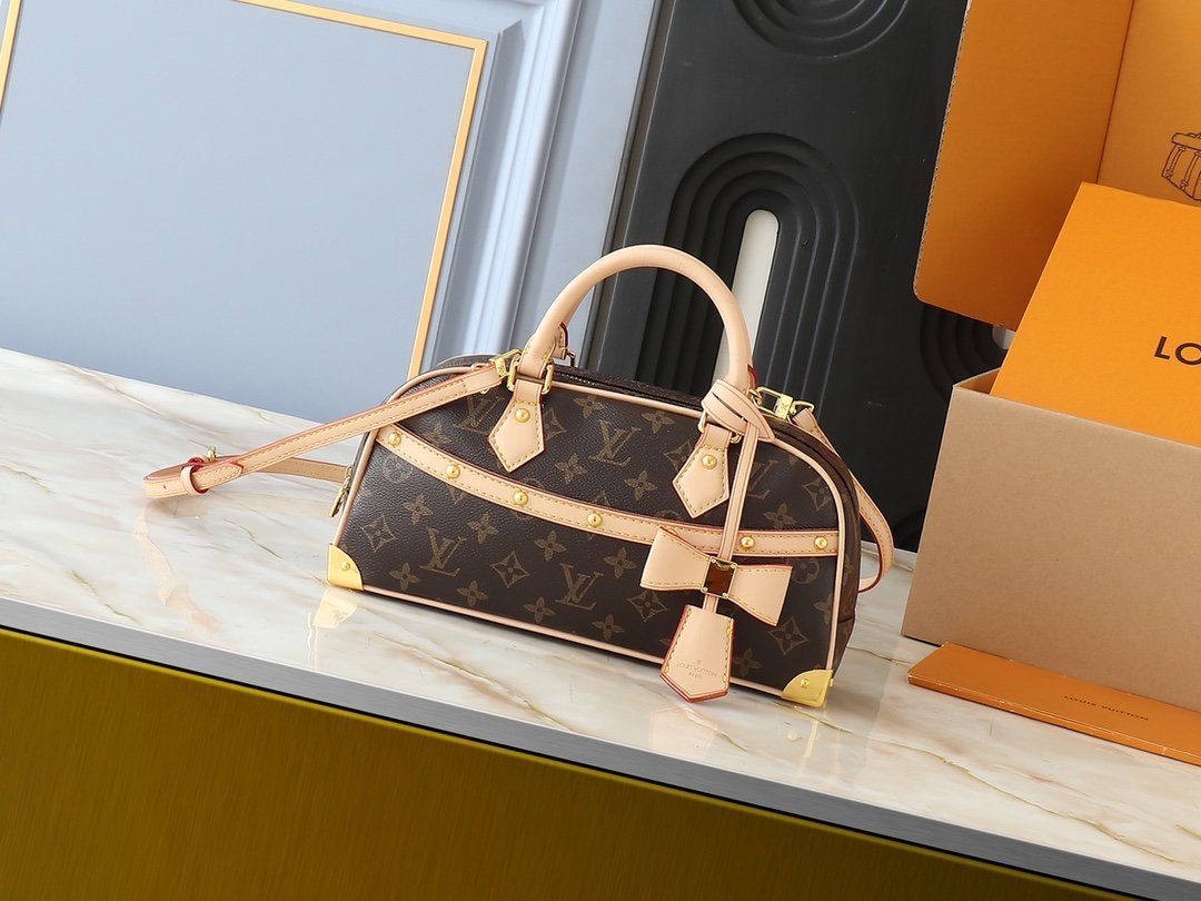 wsxc1742653599034_0.jpg LOUIS VUITTON - Image 1