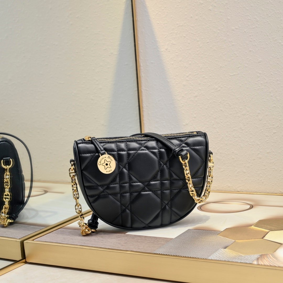 wsxc1742913275874_0.jpg DIOR - Image 1