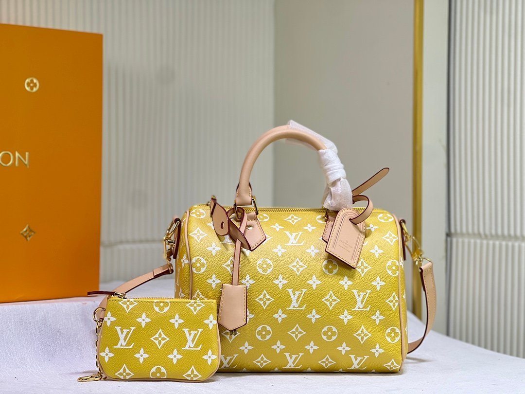 wsxc1743175015216_0.jpg LOUIS VUITTON - Image 1