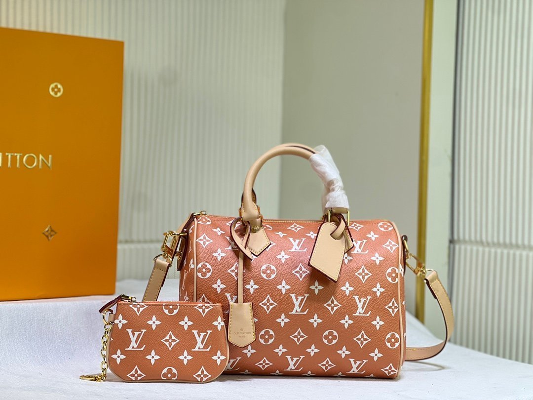 wsxc1743175129028_0.jpg LOUIS VUITTON - Image 1